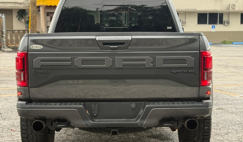 
								2019 Ford F-150 Raptor full									